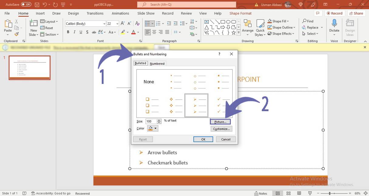 Customizing pictures in bullet points in PowerPoint