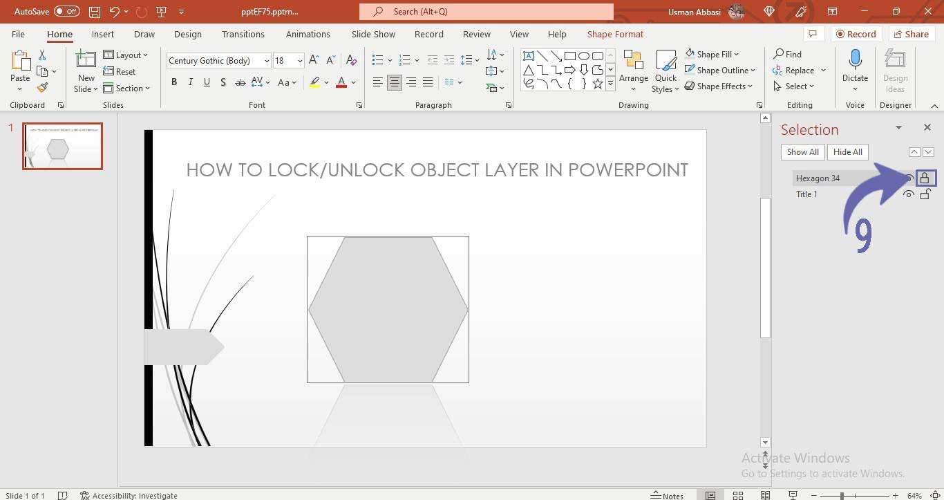 Customizing selection pane in PowerPoint