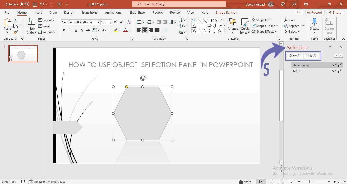 Customizing selection pane in PowerPoint