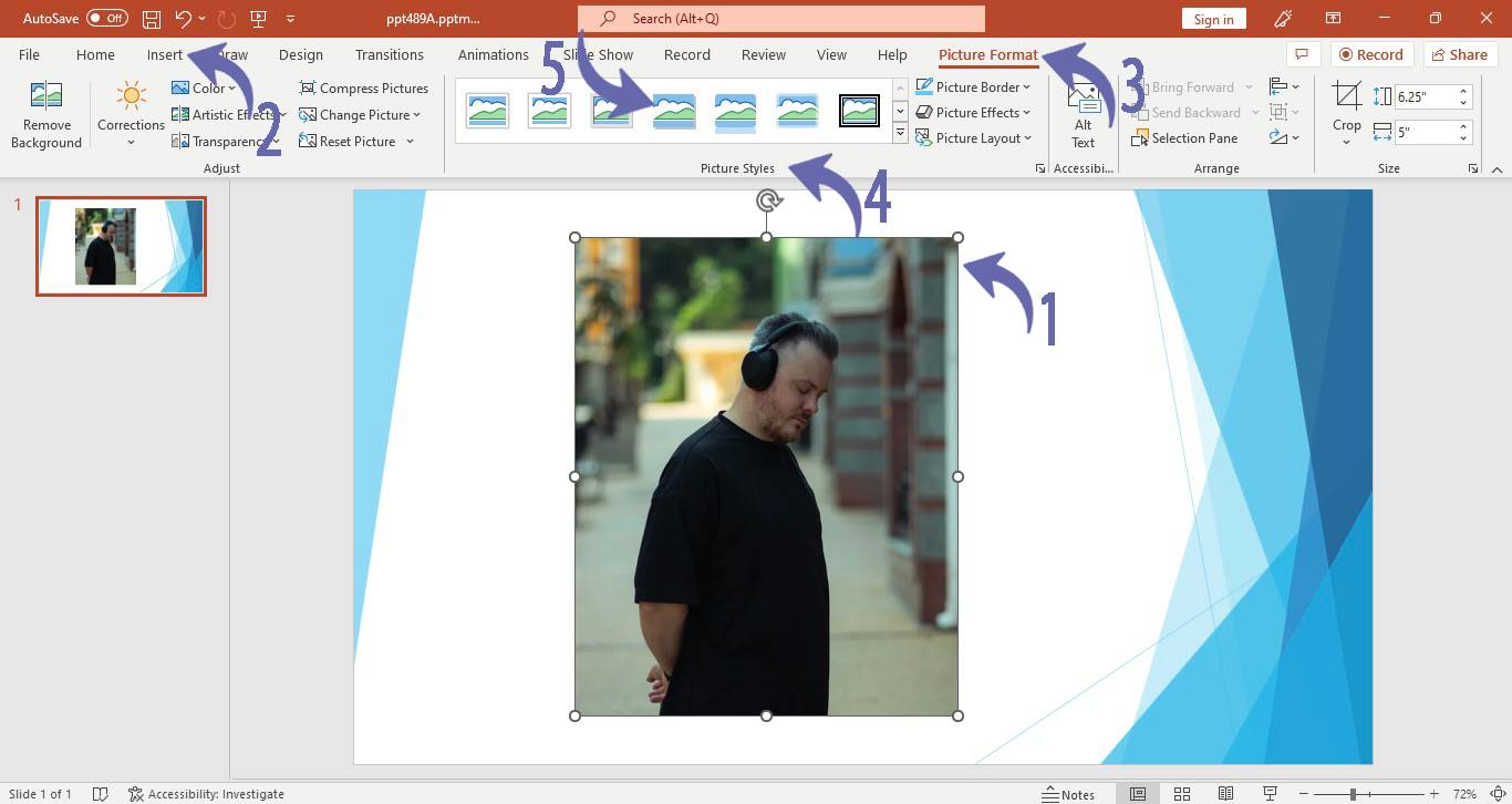 Applying quick styles to a picture in PowerPoint